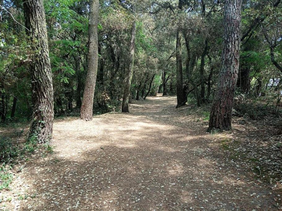 Studio Au Coeur Du Golf De Port Bourgenay, Proche Des Sables D'Olonne Talmont-Saint-Hilaire Экстерьер фото